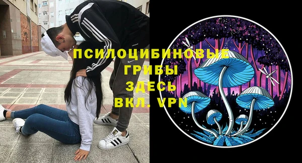 гидра Покровск