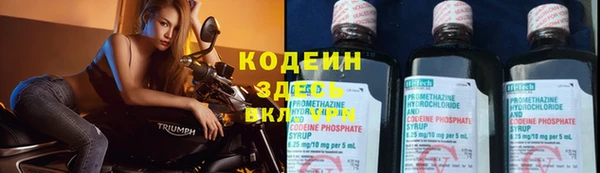 mix Ельня