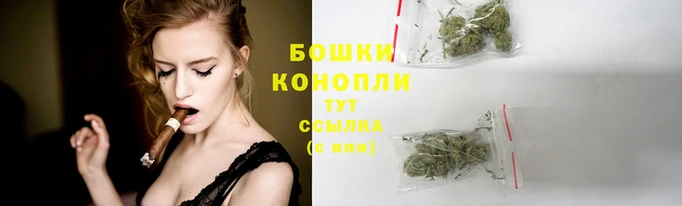 крисы Покров