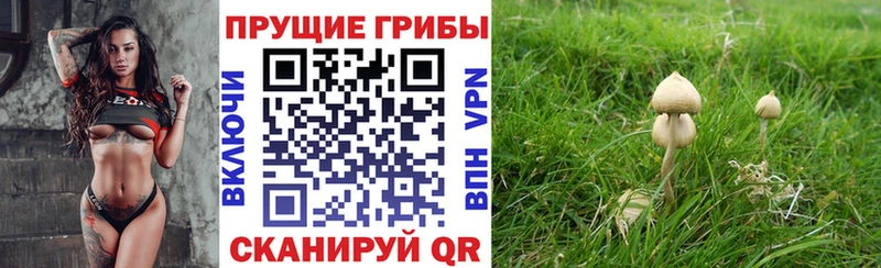 Галлюциногенные грибы GOLDEN TEACHER  Стрежевой 